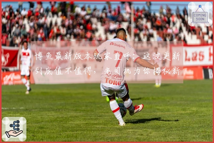 博鱼最新版本玩家直呼：这波更新到底值不值得，老司机为你揭秘新玩法收益！
